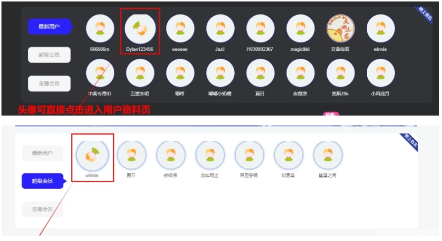 [优化]【首页会员优化】炙焰子比小工具插件(1.0.0 版本)