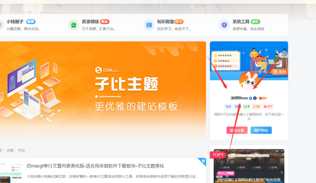 昵称抖音风格字体美化代码 – 子比主题美化