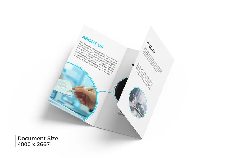 多用途三折小册子模型