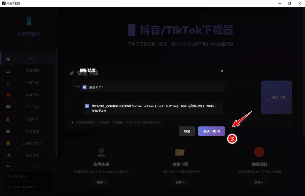 抖音/tiktok下载器 支持无水印-某音下载器