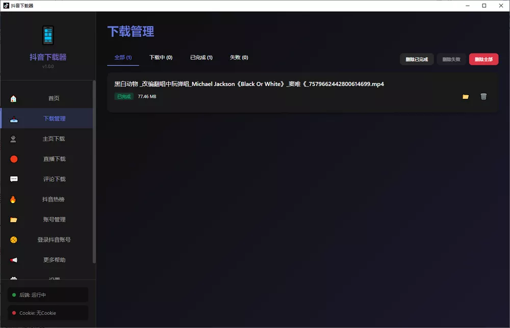 抖音/tiktok下载器 支持无水印-某音下载器