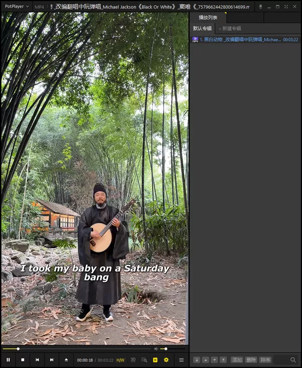 抖音/tiktok下载器 支持无水印-某音下载器