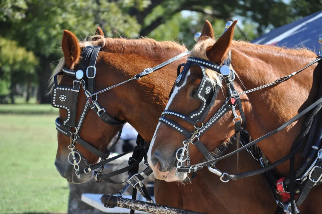 一文带你看懂,火爆全网的Harness Engineering到底是什么插图7 一文带你看懂,火爆全网的Harness Engineering到底是什么插图7