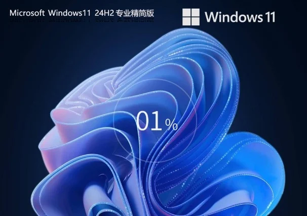 少量精简 Windows11 24H2 64位 专业精简版镜像怎么安装-少量精简 Windows11 24H2 64位 专业精简版镜像安装的遇到问题?这几个方法亲测管用