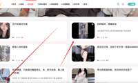 视频封面优化 – 子比主题美化