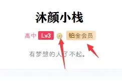 7b2主题会员等级美化与自定义标识