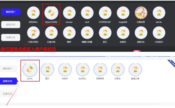 [优化]【首页会员优化】炙焰子比小工具插件(1.0.0 版本)