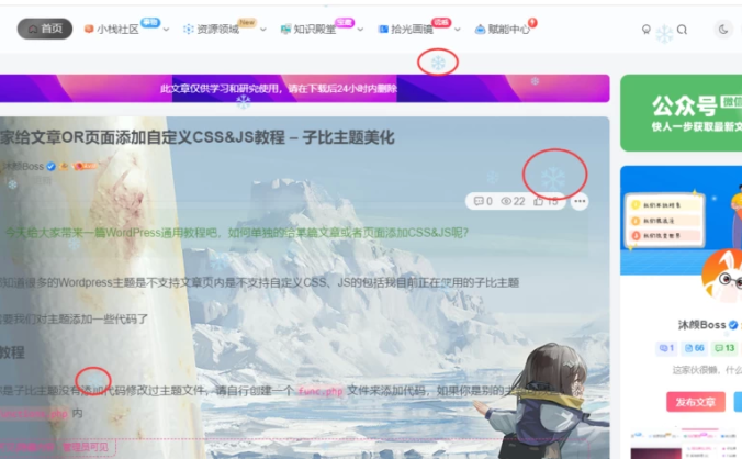 教大家给文章OR页面添加自定义CSS&JS教程 – 子比主题美化
