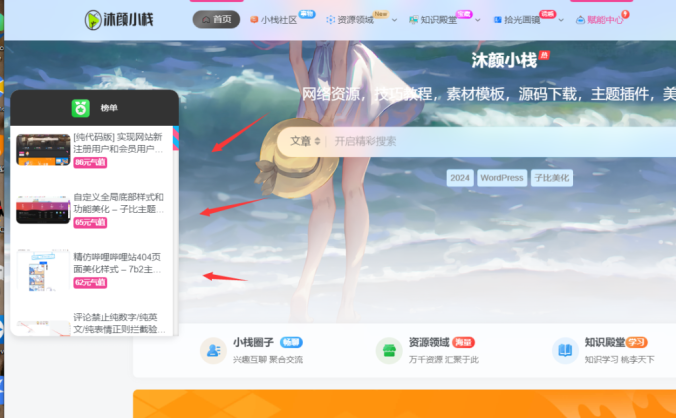给自己网站添加超级好看的侧边悬浮排行榜单 – 子比主题美化