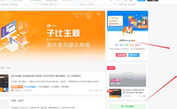 右侧悬浮按钮美化版(站长根据本站进行二次调整修复)-子比主题美化