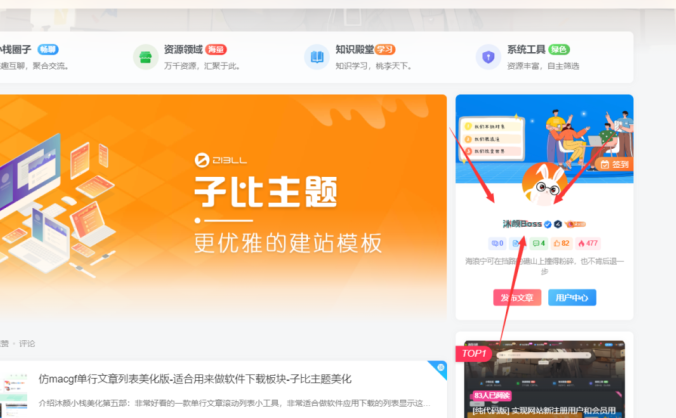 昵称抖音风格字体美化代码 – 子比主题美化
