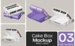 纸质蛋糕盒模型