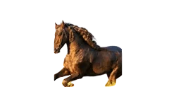 你的电视 v2.1.1 纯净直播