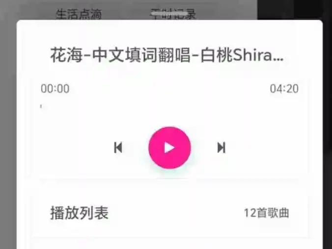 zibll-music音乐插件重构版【子比专属版】