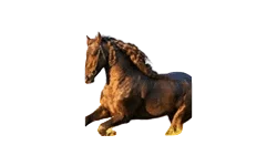 你的电视 v2.1.1 纯净直播