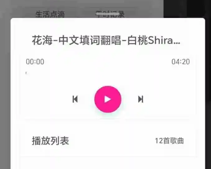 zibll-music音乐插件重构版【子比专属版】