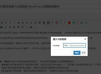 【原创】短代码实现文章快速嵌入B站视频-WordPress主题教程美化