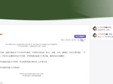 文章页隐藏侧边栏按钮(方法二) - 子比主题美化教程