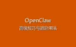 OpenClaw 更新与维护指南