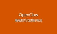 OpenClaw 更新与维护指南