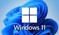 新手必看：Win11专业版和专业工作站版有什么区别的完整操作教程