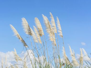 基于FunAsr实现录音文件识别接口，异步处理音频文件并返回识别结果