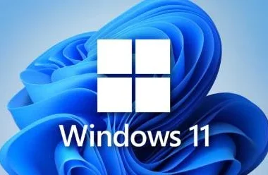 新手必看：Win11专业版和专业工作站版有什么区别的完整操作教程