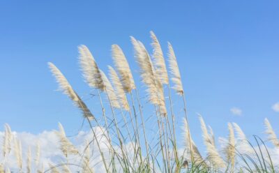 温故而知新,PHP Swoole使用过程中的一些思考