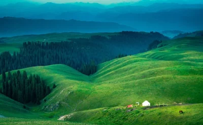 Python基础知识，Python大模型学习笔记