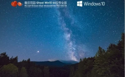 番茄花园 Windows10 64位 纯净专业版如何安装-番茄花园 Windows10 64位 纯净专业版安装的入门到熟练：我踩过的坑你别踩