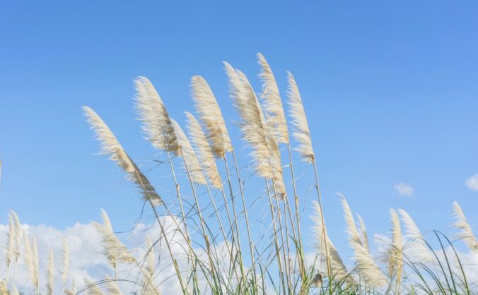 温故而知新,PHP Swoole使用过程中的一些思考