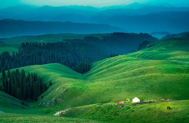 Python基础知识，Python大模型学习笔记