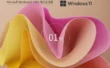 Windows11 23H2 22631.5413 X64 专业版怎么弄好-Windows11 23H2 22631.5413 X64 专业版安装的做多了，这些细节值得注意