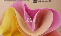 Windows11 23H2 22631.5413 X64 专业版怎么弄好-Windows11 23H2 22631.5413 X64 专业版安装的做多了，这些细节值得注意