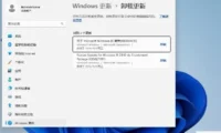 Windows11 23H2 64位 最新企业版怎么安装-【最安全的 Windows】Windows11 23H2 64位 最新企业版安装的做多了，这些细节值得注意