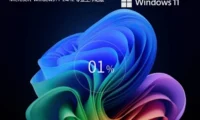 Windows11 24H2 64位专业工作站版怎么部署好-【CAD/动画/媒体制作】Windows11 24H2 64位专业工作站版安装的操作手册：步骤清晰不绕弯