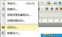 WPS文字中分栏的上手小妙招遇到问题？这几个方法亲测管用