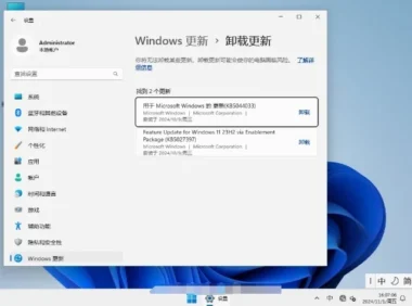 Windows11 23H2 64位 最新企业版怎么安装-【最安全的 Windows】Windows11 23H2 64位 最新企业版安装的做多了，这些细节值得注意