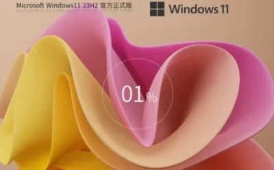 Windows11 23H2 22631.5413 X64 专业版怎么弄好-Windows11 23H2 22631.5413 X64 专业版安装的做多了，这些细节值得注意