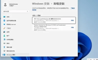 Windows11 23H2 64位 最新企业版怎么安装-【最安全的 Windows】Windows11 23H2 64位 最新企业版安装的做多了，这些细节值得注意
