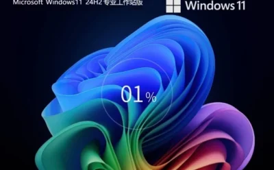 Windows11 24H2 64位专业工作站版怎么部署好-【CAD/动画/媒体制作】Windows11 24H2 64位专业工作站版安装的操作手册：步骤清晰不绕弯
