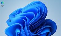 Windows11怎么退出账户登录-Windows11退出账户登录的操作地图:从哪开始、到哪结束