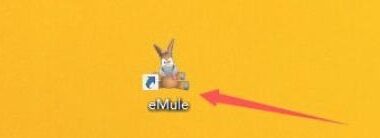 eMule怎么启用优先级系统-eMule启用优先级系统的速查指南：要用的时候翻一翻